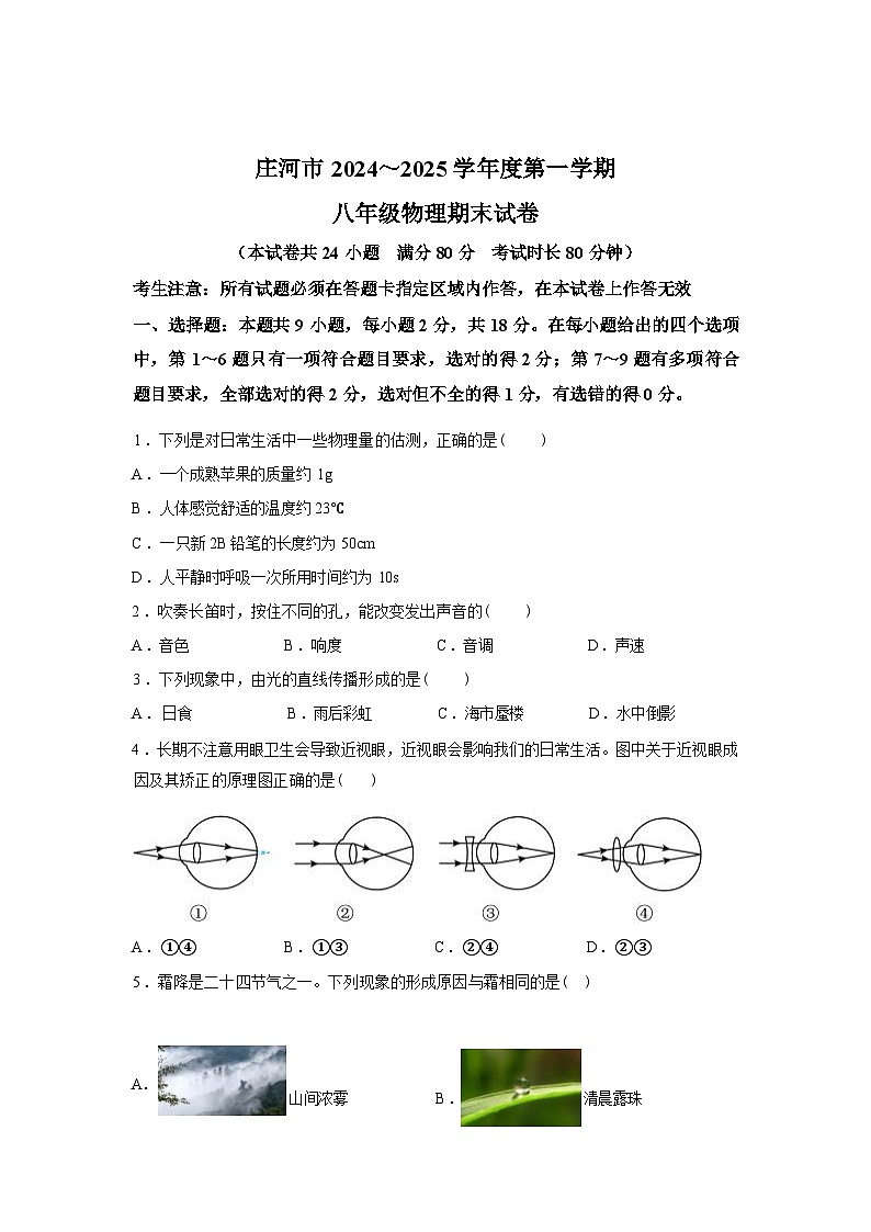 辽宁省大连市庄河市2024_2025学年八年级上册期末物理试卷[有解析]第1页