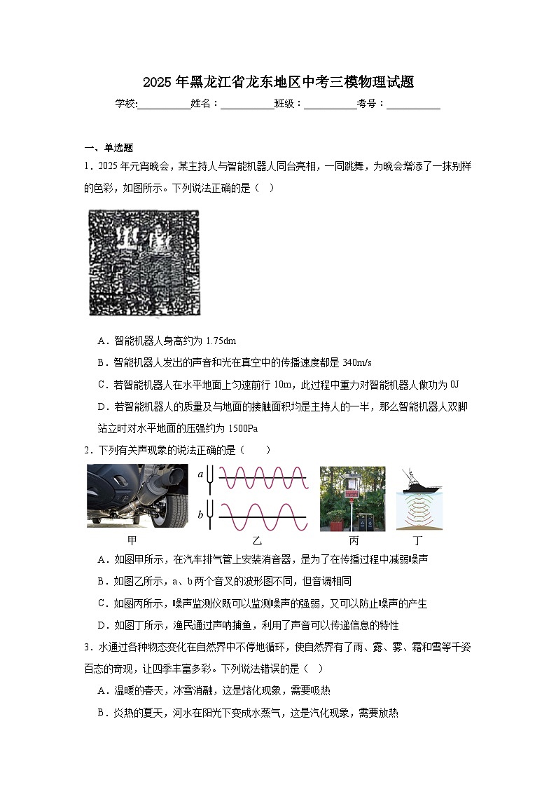 2025年黑龙江省龙东地区中考三模物理试题（无答案）第1页