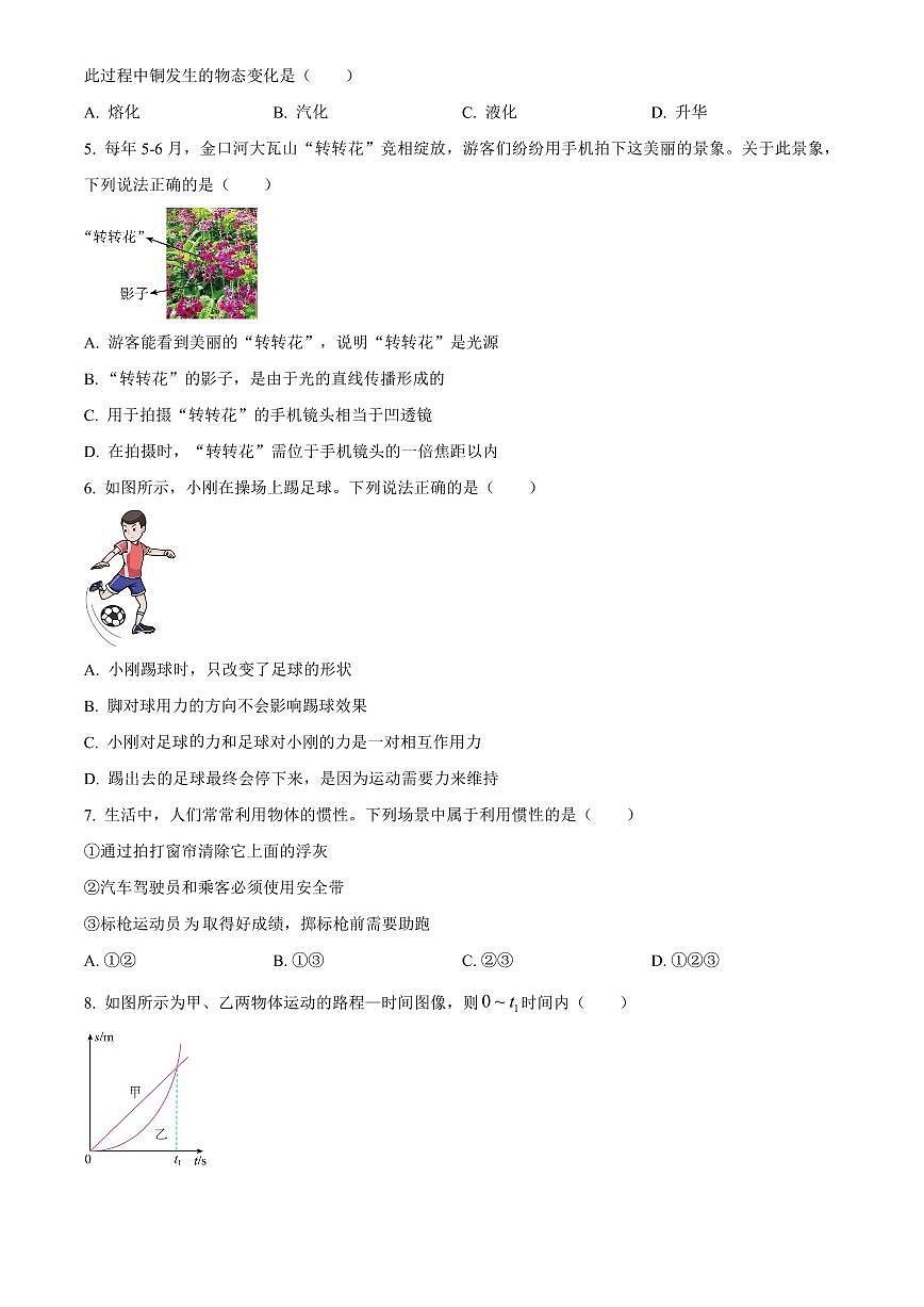 2025年四川省乐山市初中学业水平考试中考物理真题试卷(中考真题+答案)第2页