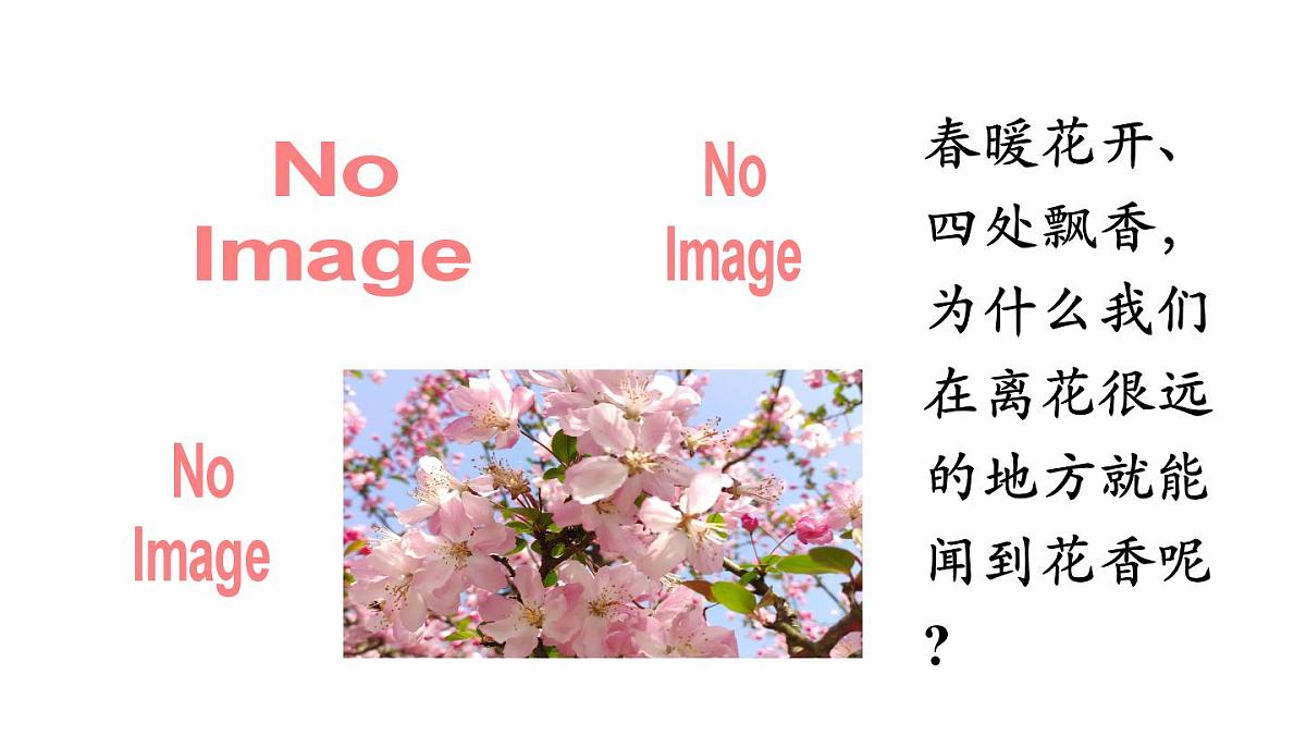 人教版物理九年级全一册13.2 分子动理论的初步知识（课件）第3页