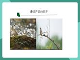 魯科版(五四制)物理八上 第二章第一節(jié)《聲音的產(chǎn)生與傳播》課件