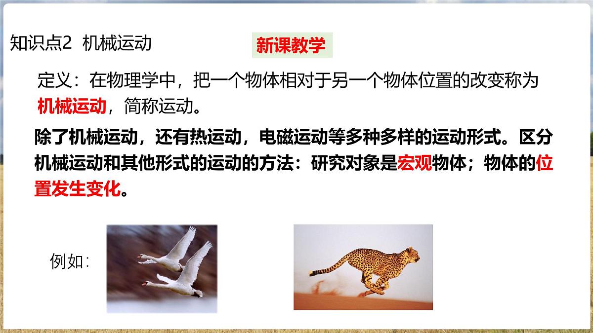 沪科版（2024）物理八年级全一册 1.1 动与静 （课件）第5页