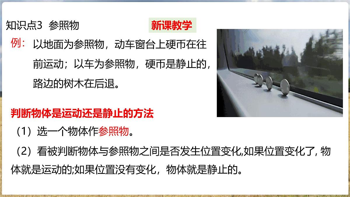 沪科版（2024）物理八年级全一册 1.1 动与静 （课件）第7页