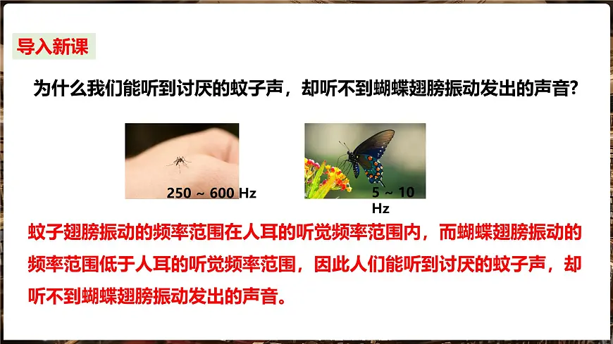 沪科版（2024）物理八年级全一册 2.3 超声波与次声波 （课件）第3页