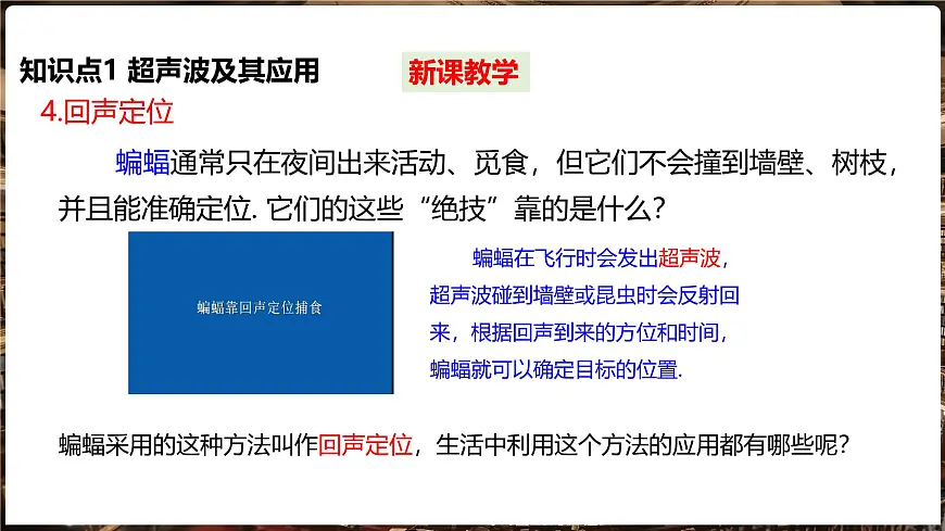 沪科版（2024）物理八年级全一册 2.3 超声波与次声波 （课件）第5页
