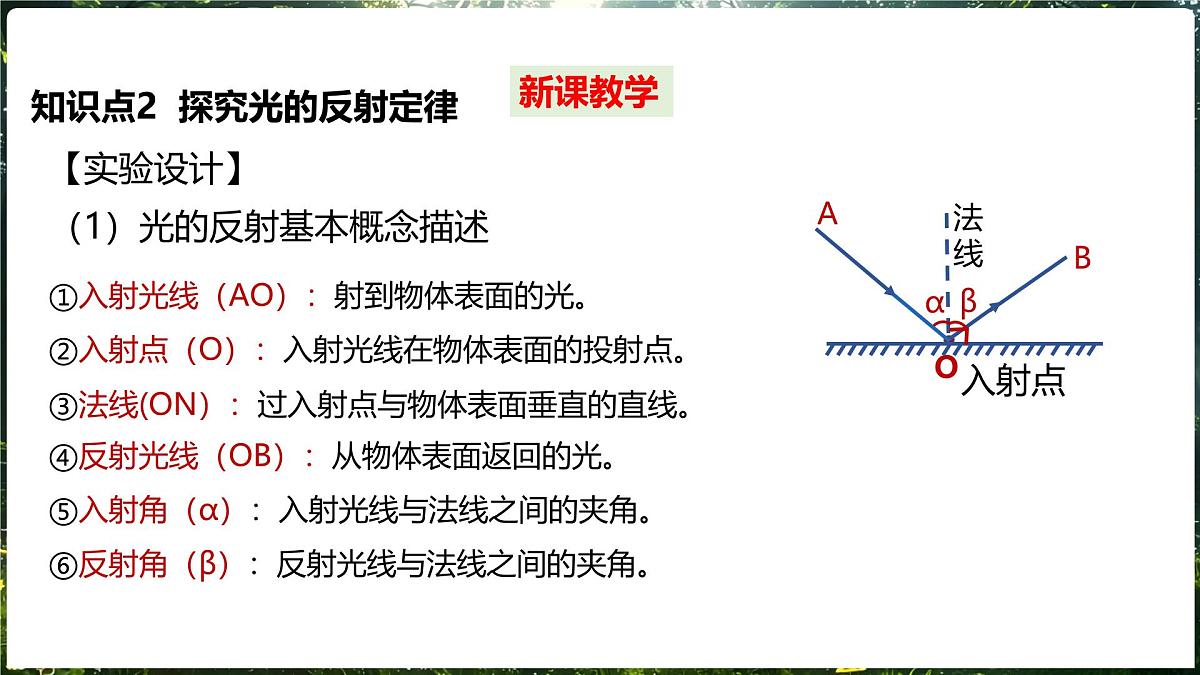 3.1 探究：光的反射定律 第2课时光的反射定律及其应用第6页