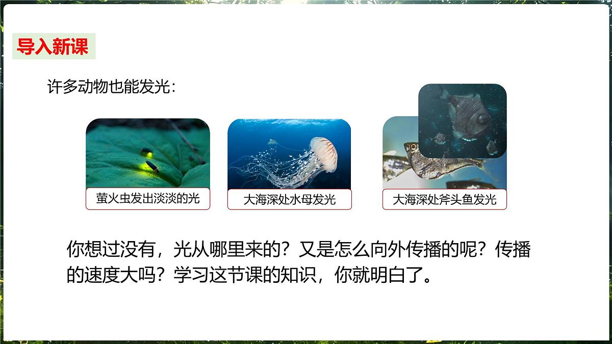 3.1 探究：光的反射定律 第1课时光的直线传播第4页