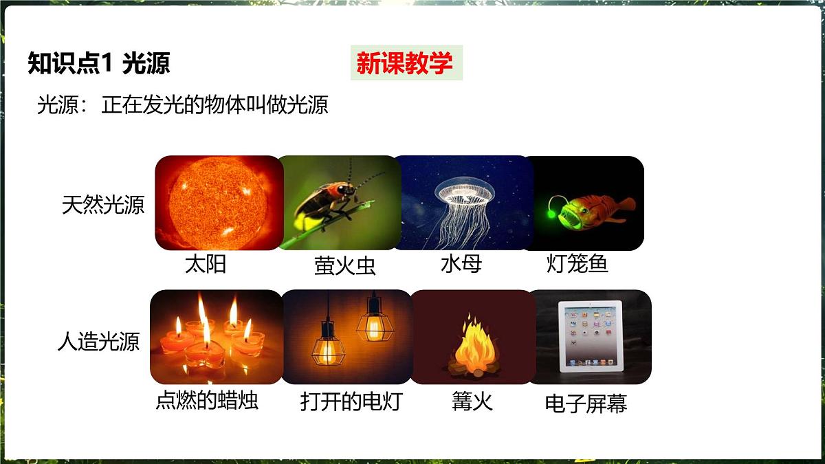 3.1 探究：光的反射定律 第1课时光的直线传播第5页