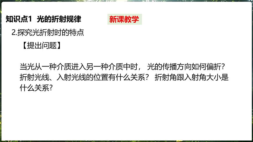 沪科版（2024）物理八年级全一册 3.3 光的折射 （课件）第6页