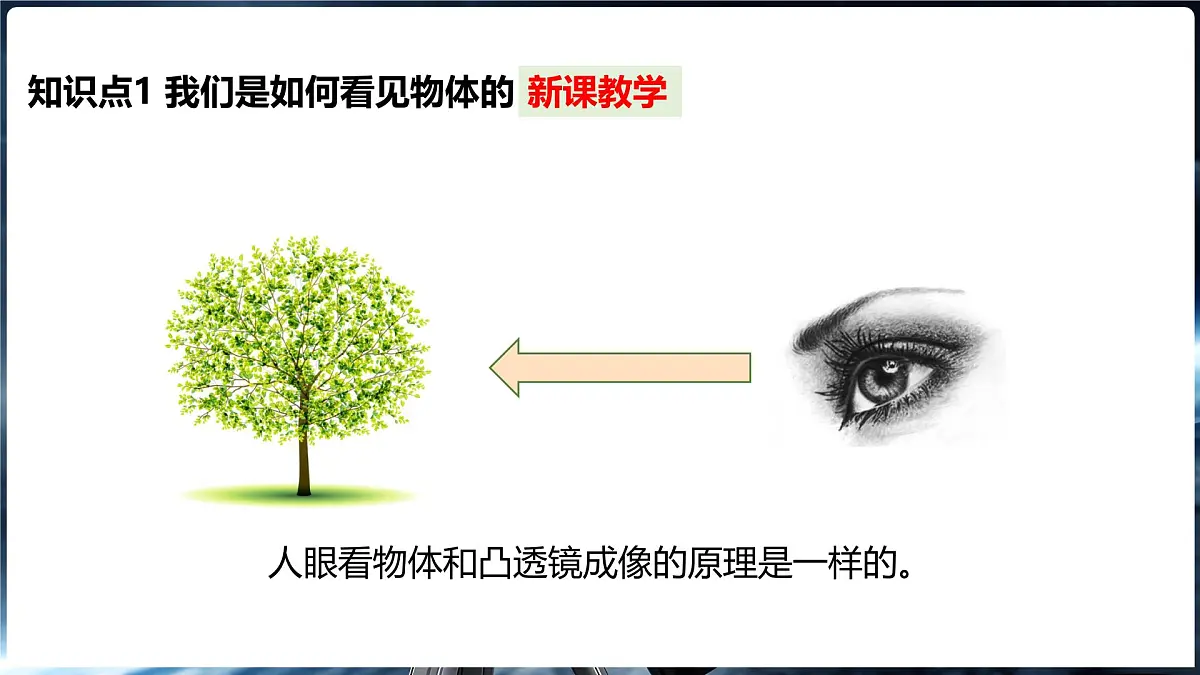 4.3 神奇的“眼睛” 第1课时眼睛及视力矫正第4页