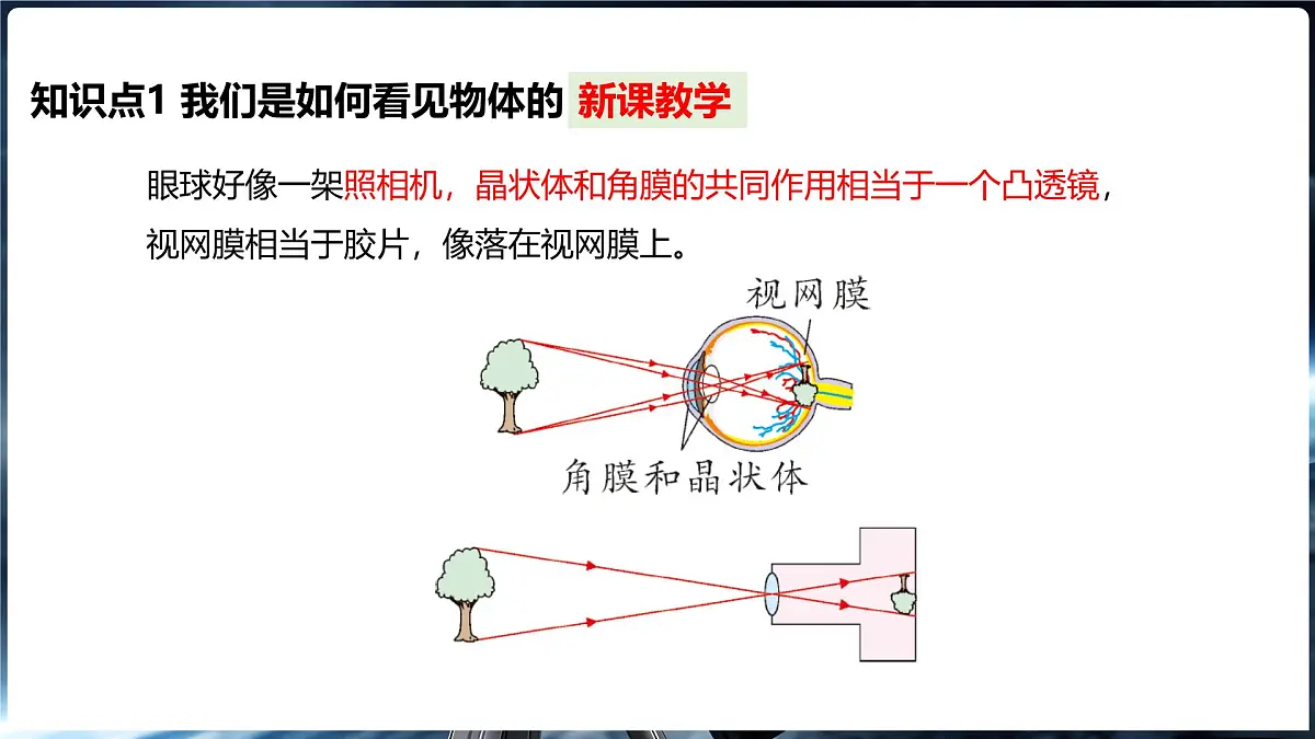 4.3 神奇的“眼睛” 第1课时眼睛及视力矫正第7页