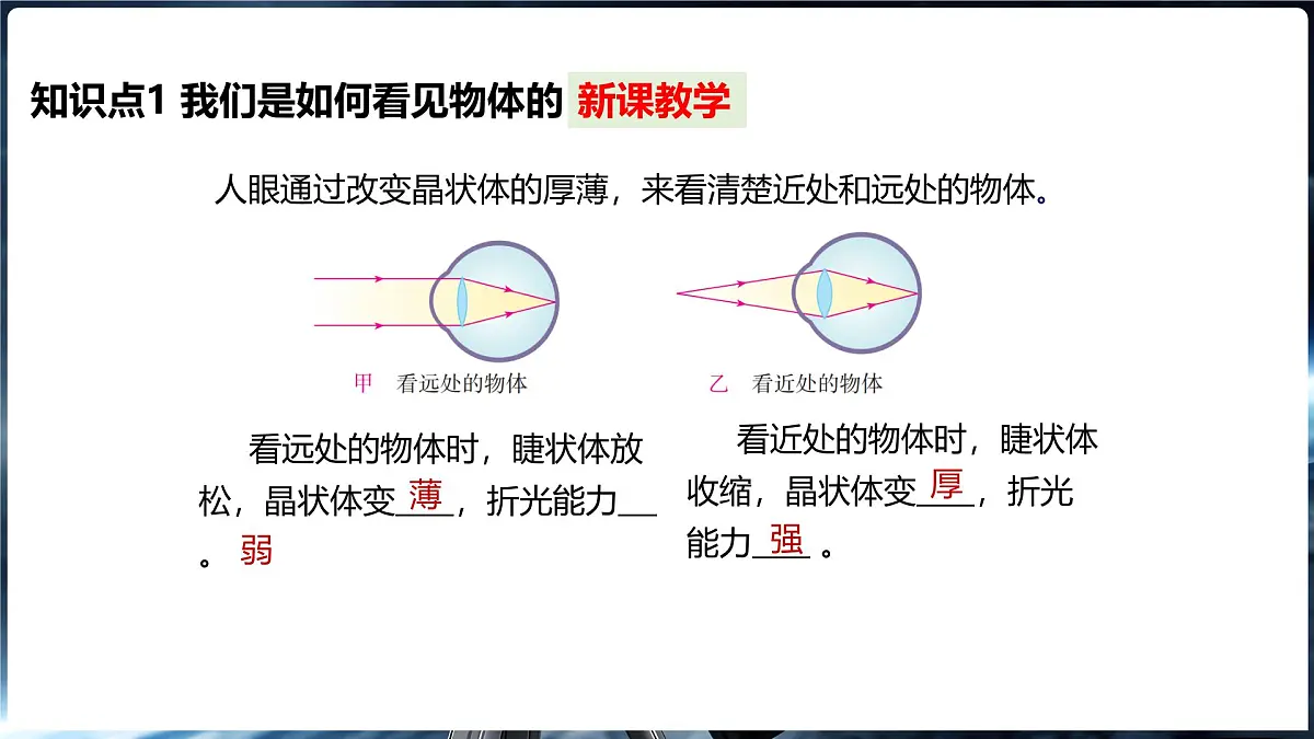 4.3 神奇的“眼睛” 第1课时眼睛及视力矫正第8页