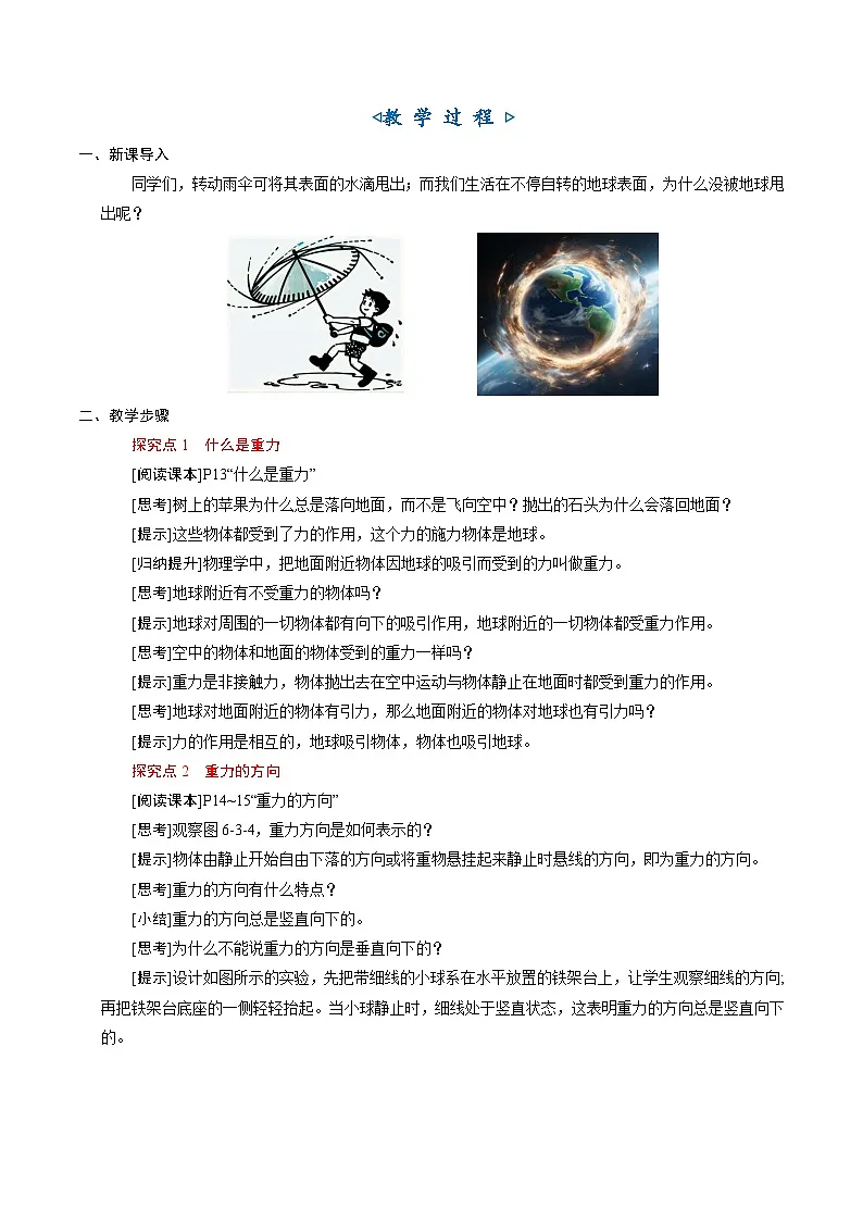 6.3《重力》（教学设计）第3页