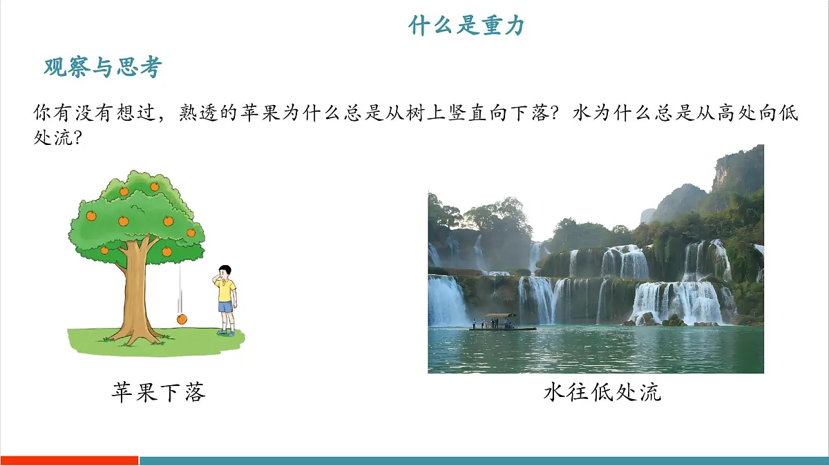 6.3 重力（同步课件）第4页