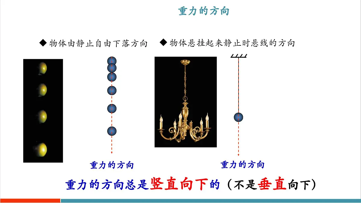 6.3 重力（同步课件）第7页