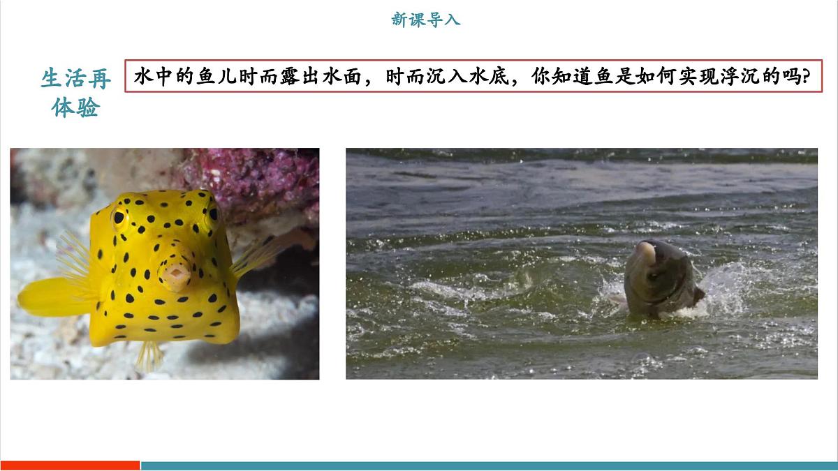 9.3 物体的浮沉（同步课件）第3页