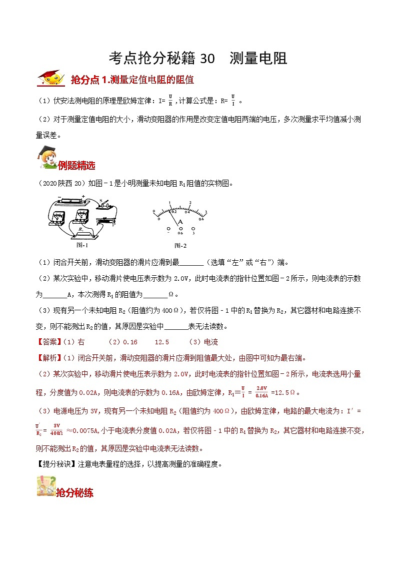 秘籍 30  测量电阻（解析版）第1页