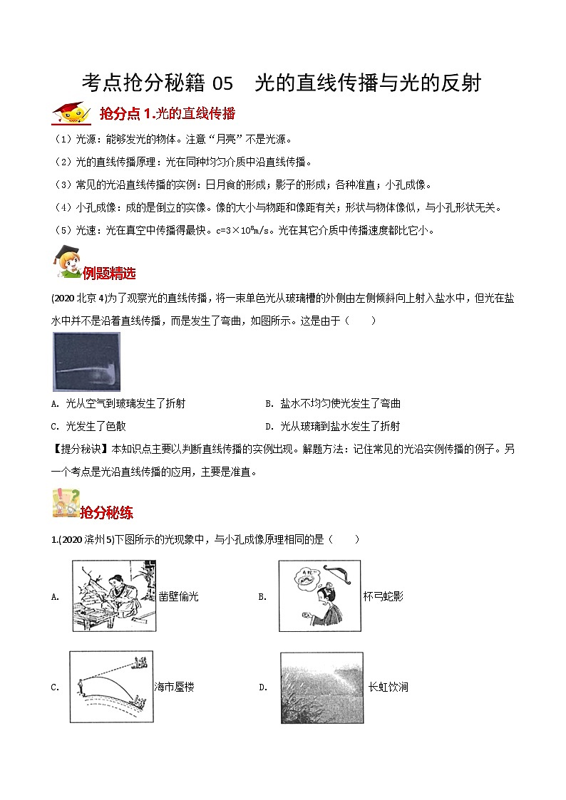 秘籍 05  光的直线传播与光的反射（原卷版）第1页