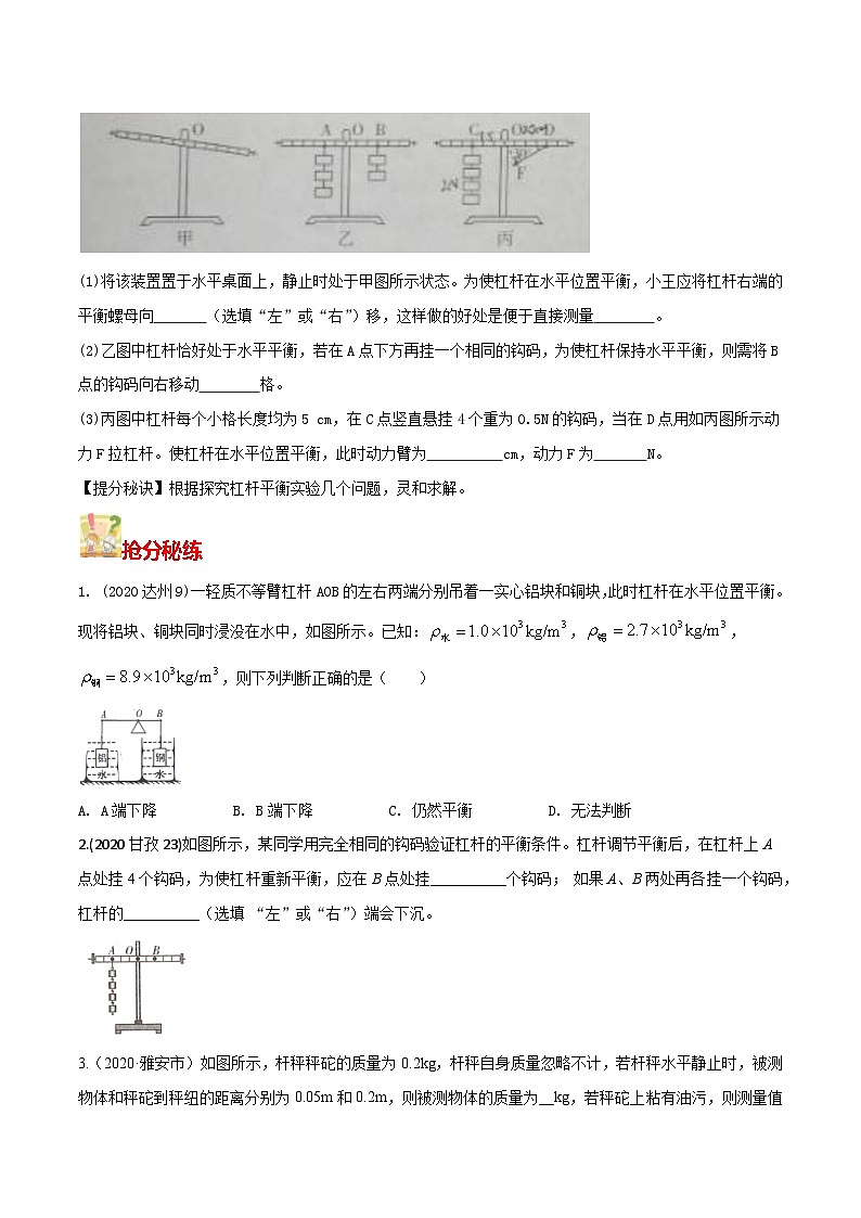 秘籍 18  杠杆和滑轮（原卷版）第3页