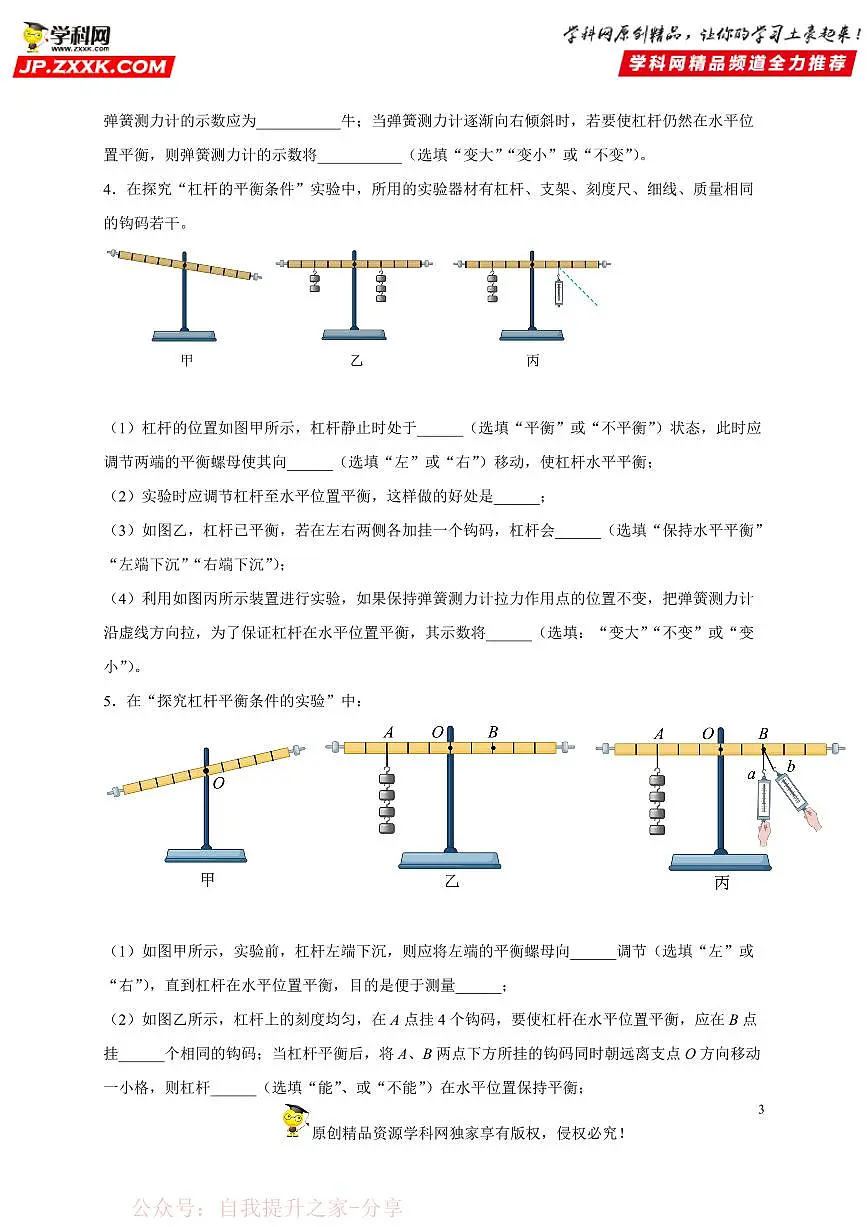 实验题12 杠杆平衡条件-中考物理二轮题型专项复习（全国通用） 练习题含参考答案第3页