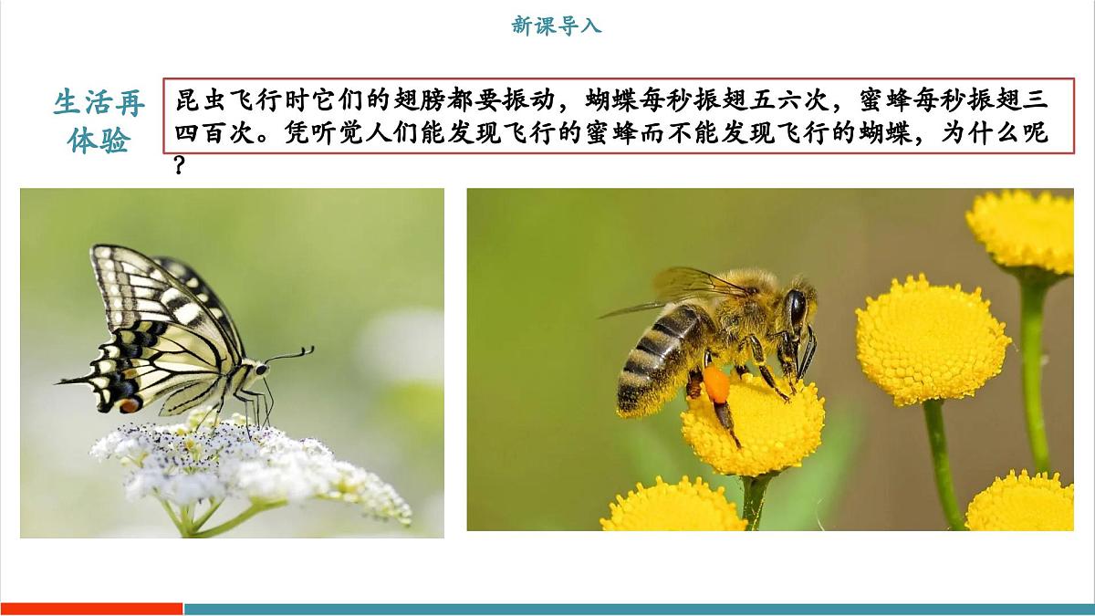 2.2 音调（同步课件）第3页