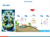 【新教材核心素養(yǎng)】滬粵版物理八年級(jí)上冊(cè)4.5《水循環(huán)與水資源》教學(xué)課件+教學(xué)設(shè)計(jì)+分層練習(xí)