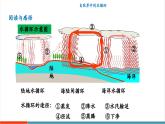 【新教材核心素養(yǎng)】滬粵版物理八年級(jí)上冊(cè)4.5《水循環(huán)與水資源》教學(xué)課件+教學(xué)設(shè)計(jì)+分層練習(xí)