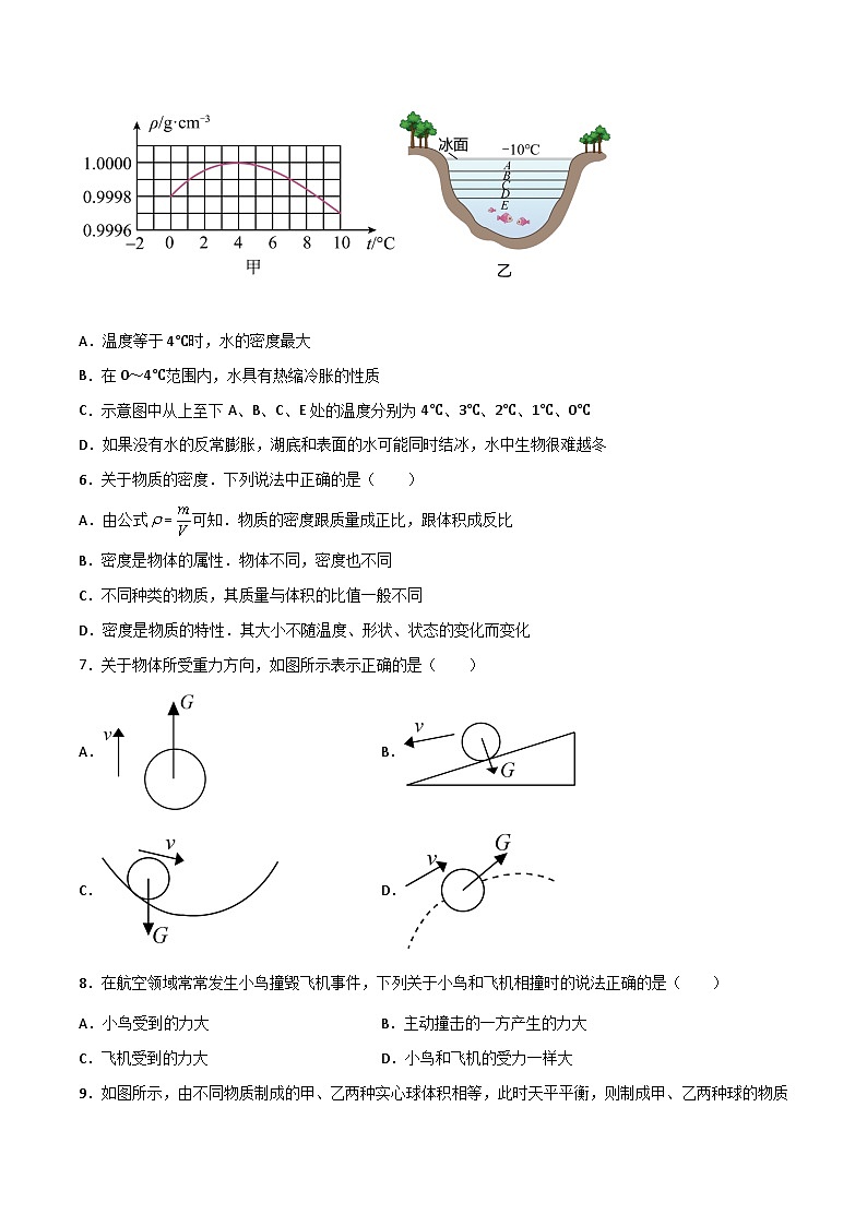 专题02 质量和密度、力（原卷版）第2页