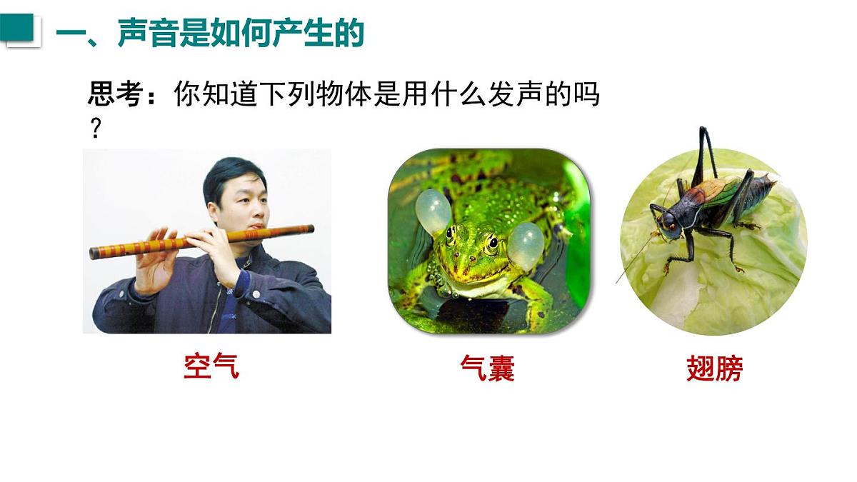 2024年秋沪科版八年级物理全一册 第一节 声音的产生与传播（课件）第6页