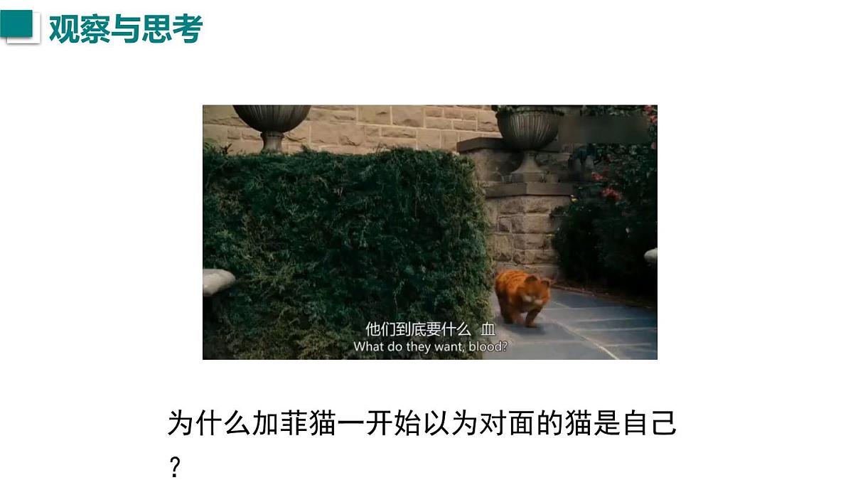 2025年秋沪科版八年级物理全一册 第二节  探究：平面镜成像的特点（课件）第2页