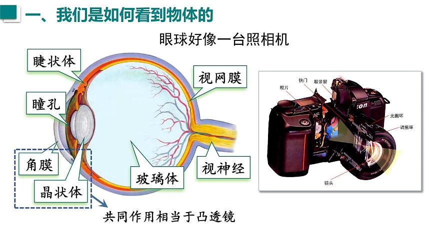 2025年秋沪科版八年级物理全一册 第三节  神奇的“眼睛”（第一课时）（课件）第4页
