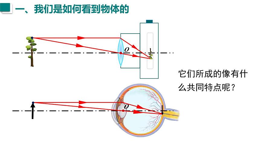 2025年秋沪科版八年级物理全一册 第三节  神奇的“眼睛”（第一课时）（课件）第5页