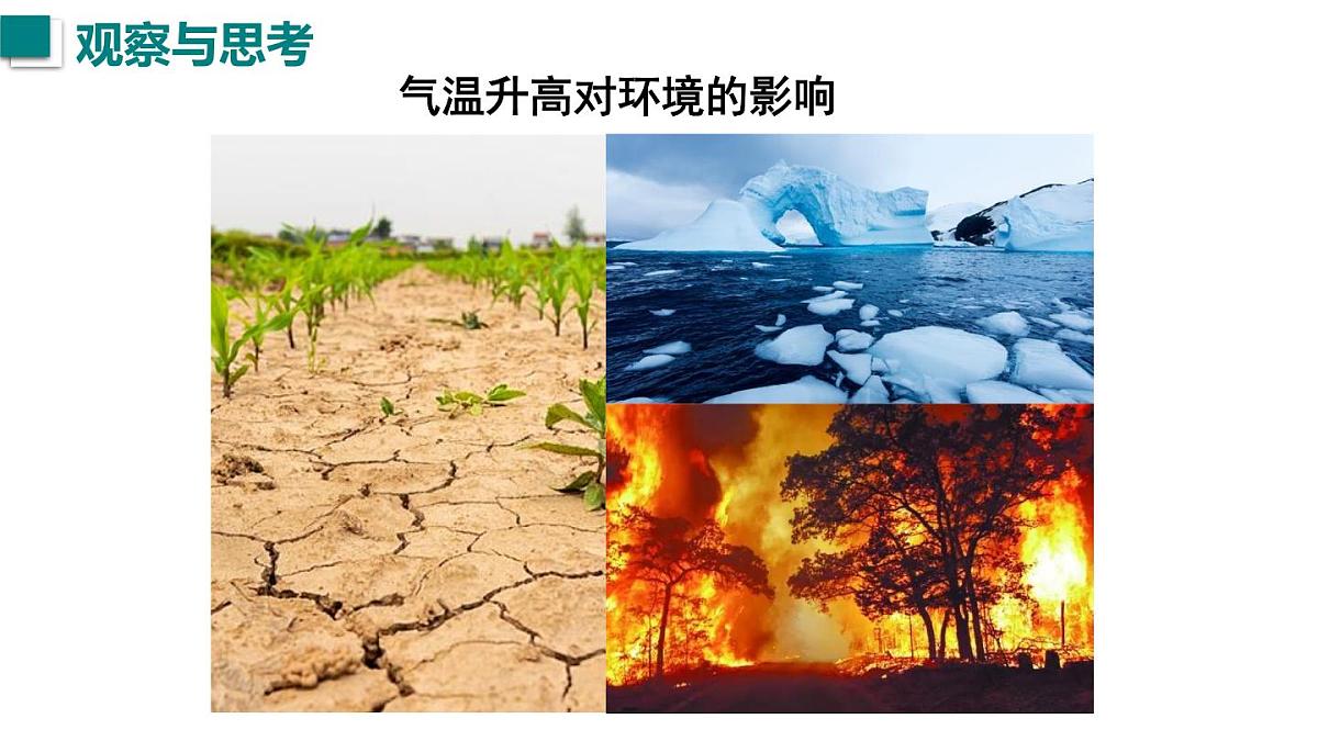 2025年秋沪粤版八年级物理上册 4.1 从全球变暖谈起（课件）第2页