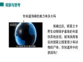2025年秋人教八年級(jí)物理上冊(cè) 第3節(jié)  聲的利用（課件）