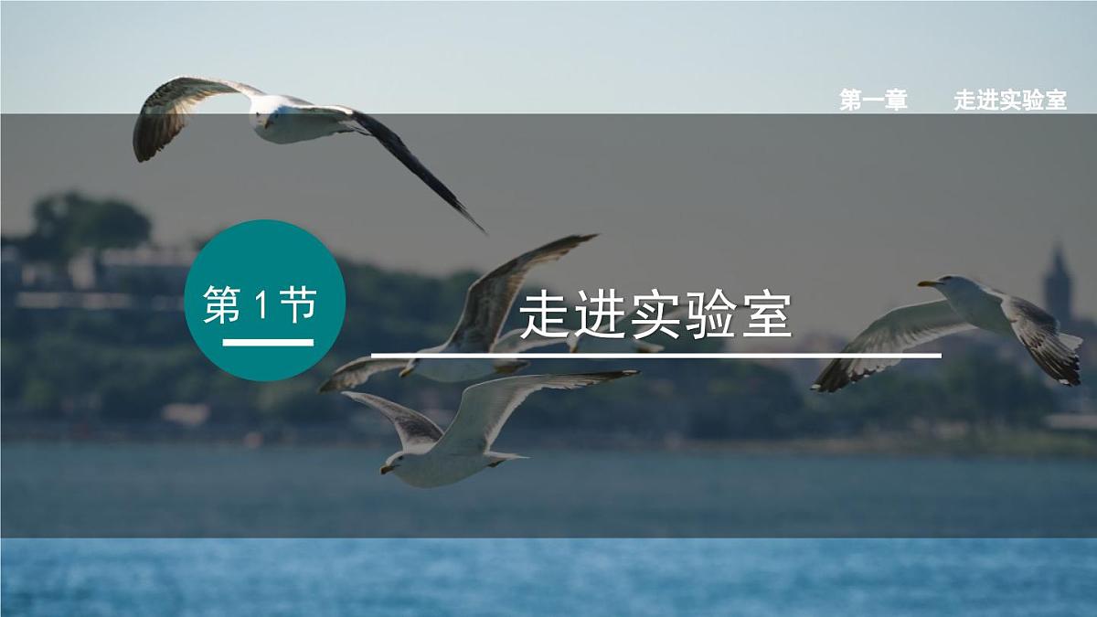 2025年秋教科版八年级物理上册 1.走进实验室（课件）第1页