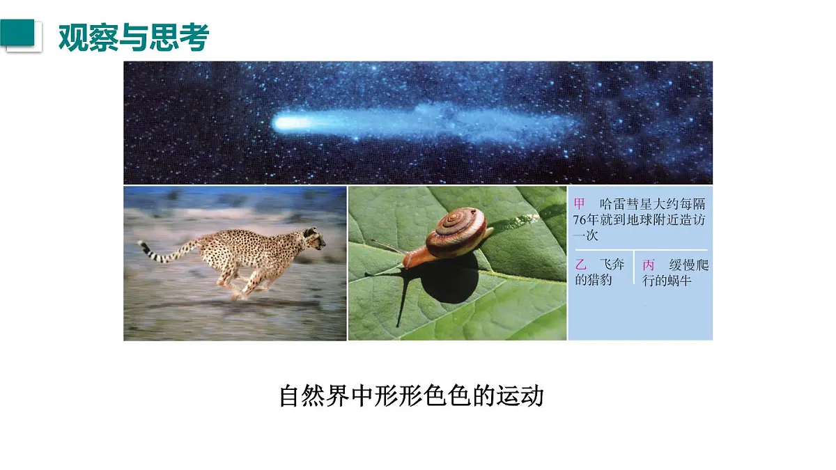 2025年秋教科版八年级物理上册 1.认识运动（课件）第2页