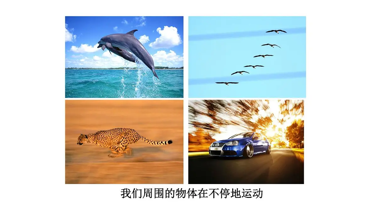 2025年秋教科版八年级物理上册 1.认识运动（课件）第5页