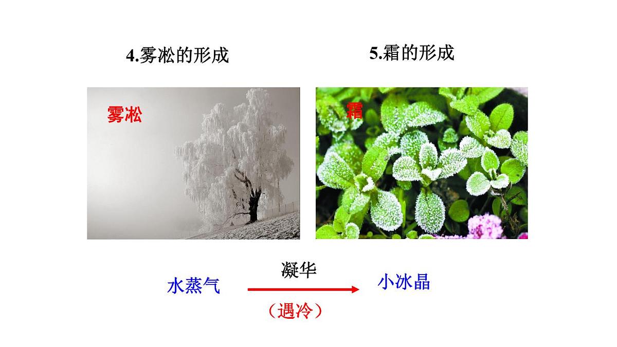 2025年秋教科版八年级物理上册 5.4.升华和凝华（课件）第8页