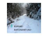 2025年秋教科版八年級(jí)物理上冊(cè) 5.5.跨學(xué)科實(shí)踐：地球上的水循環(huán)（課件）