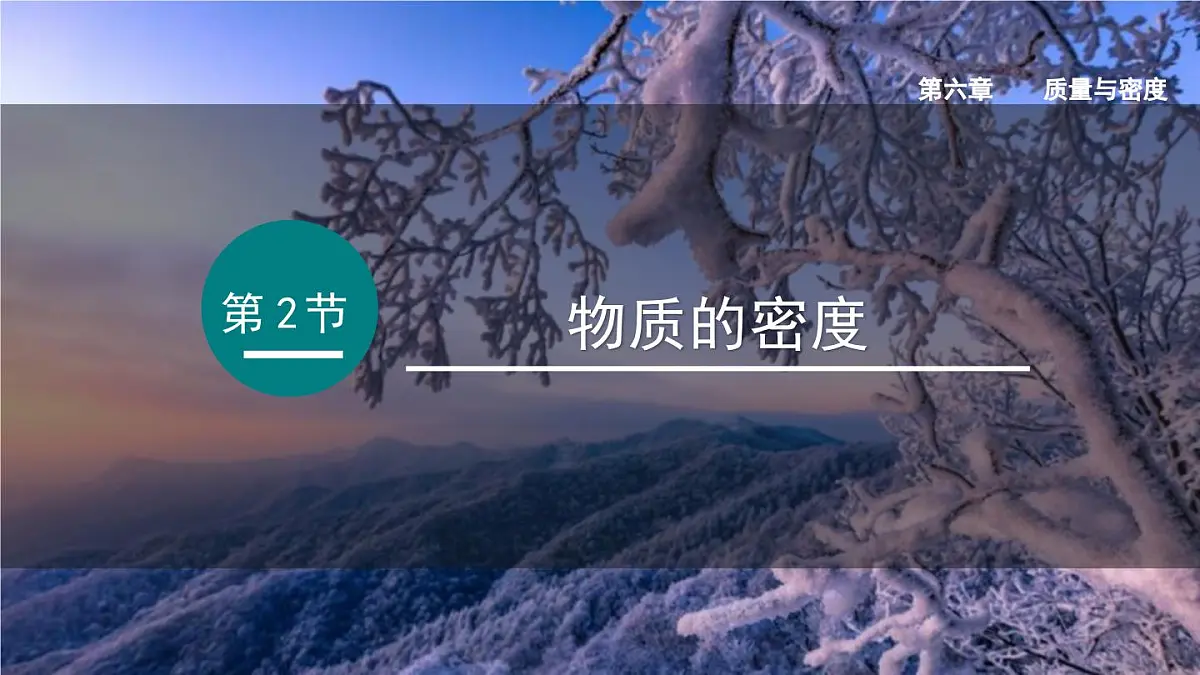 2025年秋教科版八年级物理上册 6.2.物质的密度（课件）第1页