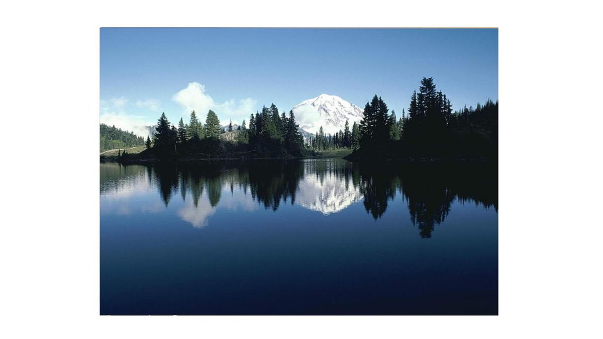 2025年秋教科版八年级物理上册 4.3.平面镜成像（课件）第5页