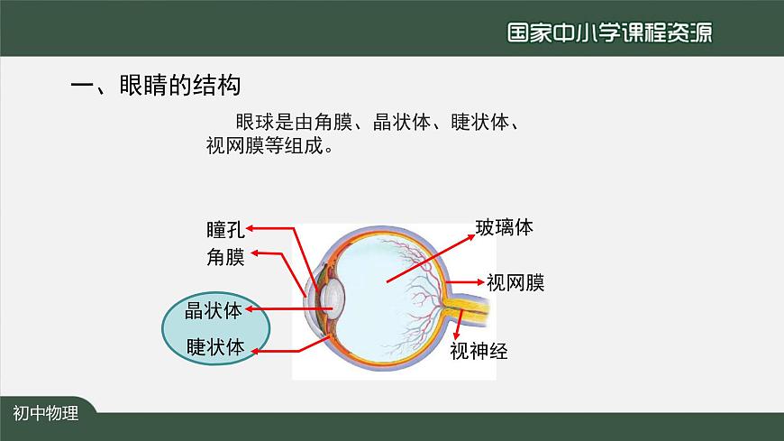 5.4眼睛和眼镜第4页