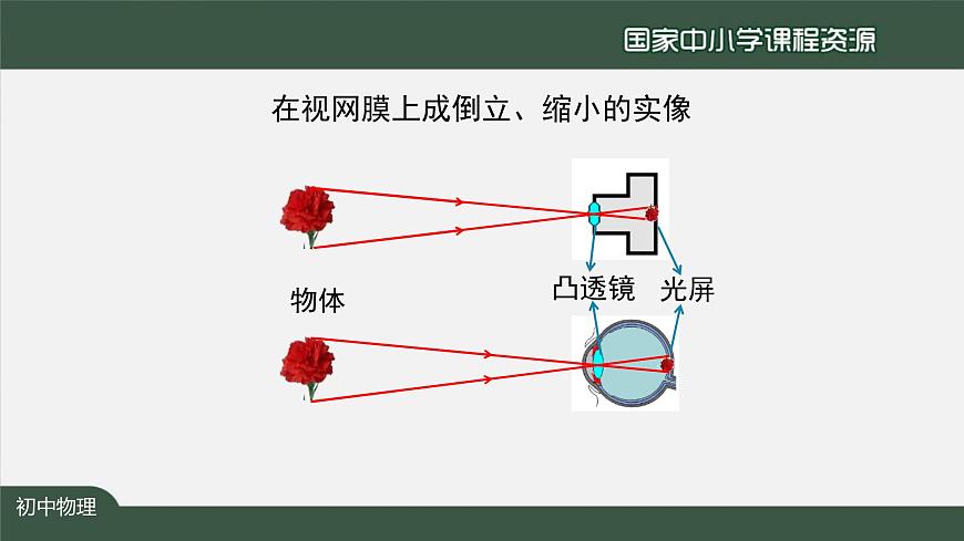 5.4眼睛和眼镜第5页