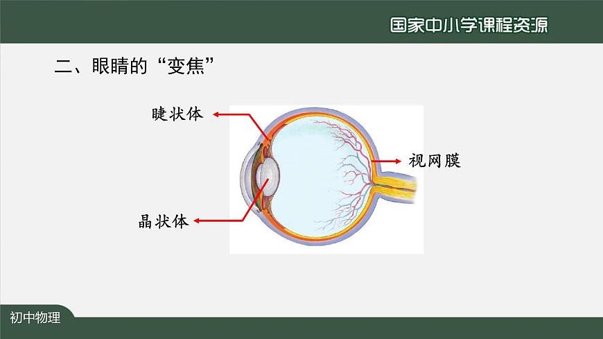 5.4眼睛和眼镜第8页