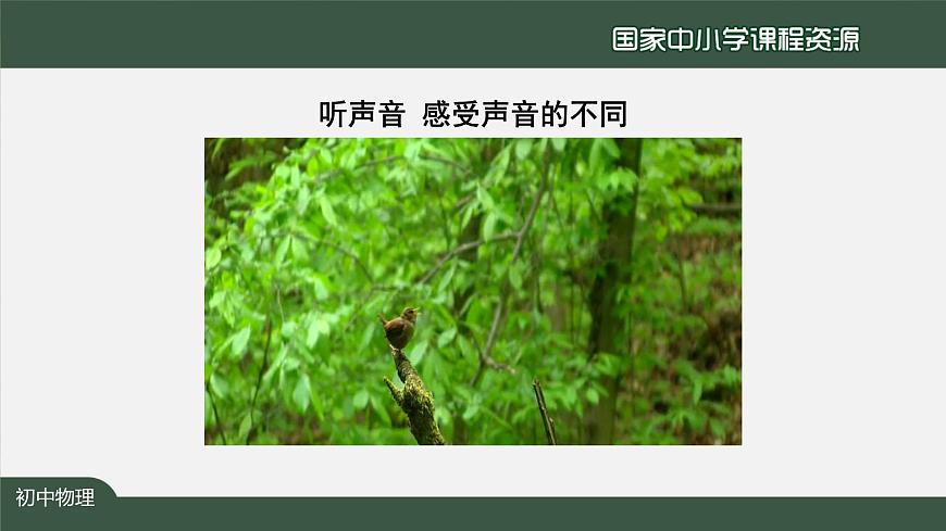 2.2声音的特性第3页