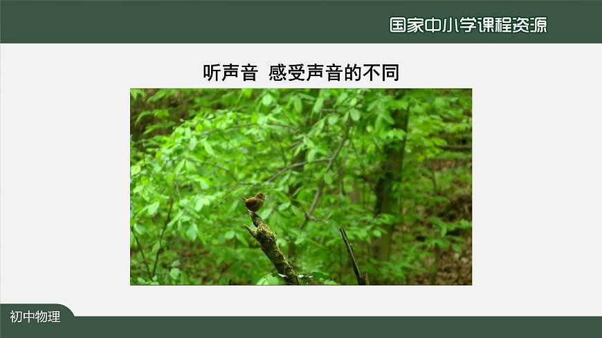 2.2声音的特性第4页