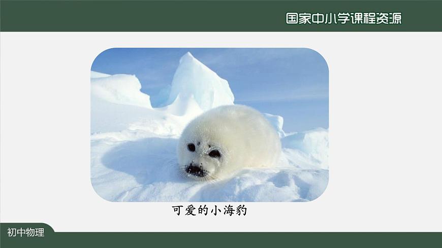 4.1光的直线传播第7页