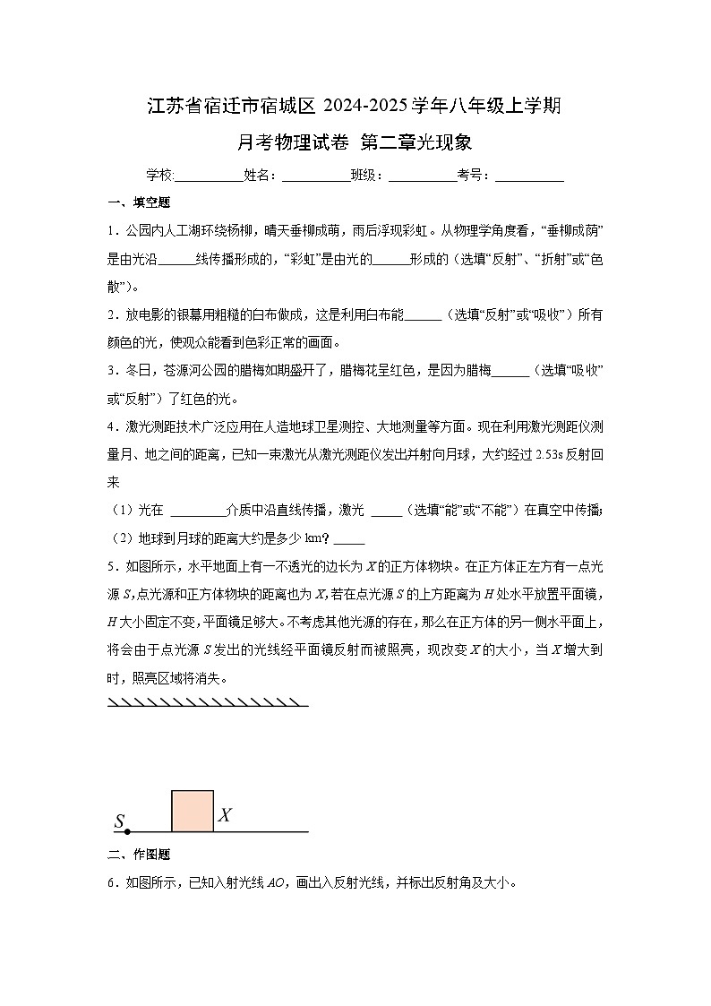 【物理】江苏省宿迁市宿城区2024-2025学年八年级上学期月考试卷 第二章光现象（解析版）第1页