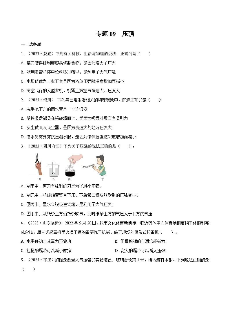 专题09 压强【考点巩固】（原卷版）第1页