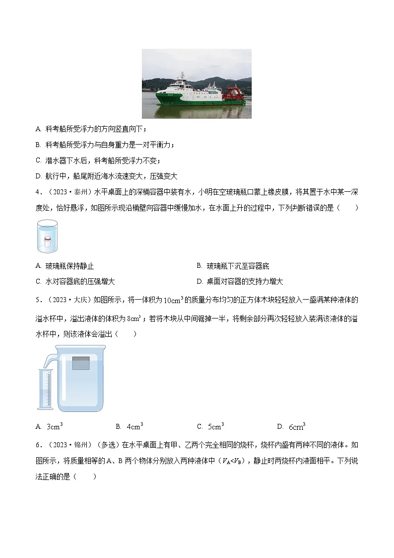 专题10 浮力【考点巩固】（原卷版）第2页
